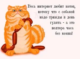 2594482326.webp