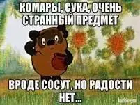 EAJPcL1d6z.webp