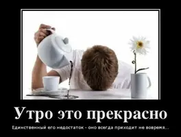 103447506_1335767775_demotivf.webp