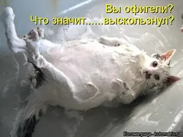 ld6O32ycEGE.webp