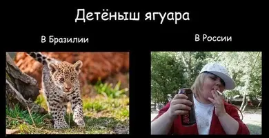 UG_lTOJplQk.webp