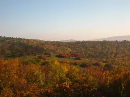 0_c61ae_33f798ca_L.webp