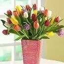image.webp