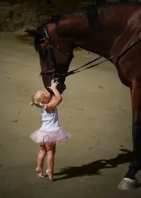 00337428.webp