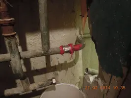 DSCN8698.webp
