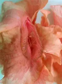 d17c1361db84af8df7e8d769b37e19b4_view.webp