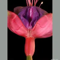 261_1000.webp