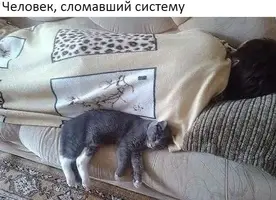 E537B8BE-9038-4B91-8A04-5F3EC562B645.webp