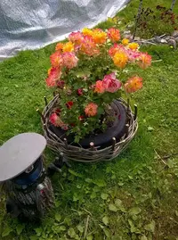 WP_20170721_11_38_54_Pro.webp