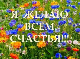 2623325874.webp 2623325874.webp