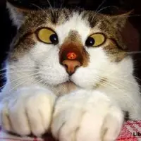 photo-4.webp