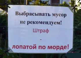9 (51).webp