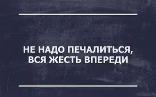853108.webp