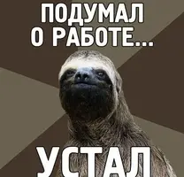 1072333275.webp
