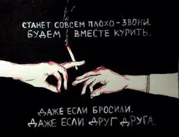 5544.webp