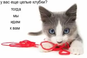 745326.webp