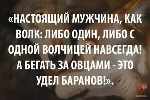 27858934_2010625092586875_3807956694897461055_n.webp