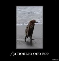 49410767_5dda545442c528e4aa136cb08ce9bb45_800.webp