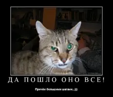 A1.webp