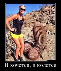 840AD27B-3E7E-48CC-AFD4-0F673E2317A9.webp