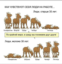 144AD55C-5391-4DC4-8CF6-1ED06E3F943D.webp