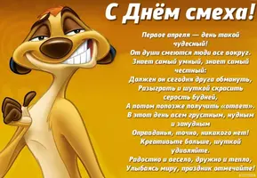 original.webp original.webp