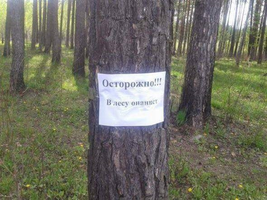 VK_Saved_Photo_ 636580881951770130.webp VK_Saved_Photo_ 636580881951770130.webp