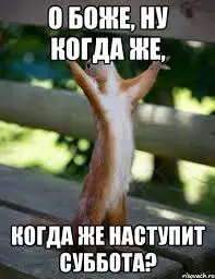 images.webp