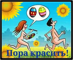 IMG-20850c9590c813636b5f9706fef12876-V.webp