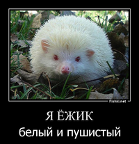 5d92586f6eac37e3023928aee56a54c1.webp 5d92586f6eac37e3023928aee56a54c1.webp