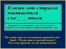0E2DC2FB-1646-41D7-ADEB-E3349BD28115.webp