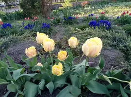 P80427-184419.webp