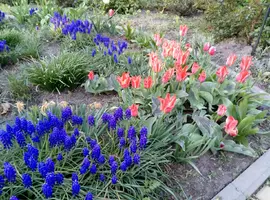 P80427-184435.webp