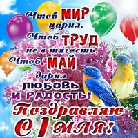 6ECCB84C-8DA9-472B-A433-707608AF44D7.webp