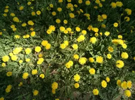 P80501-112835.webp