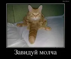 18AC4A32-8256-47EF-B04D-993B06C32702.webp