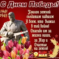 9e798b72468e5f8ac1da988a159d9e3b.webp