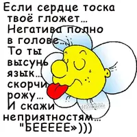 512164c9add31baa5cdad45a1b48772a.webp