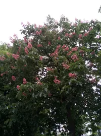 P80512-191710.webp