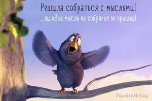 F6F1608B-2934-4C9E-A43E-CB21AC2DC060.webp