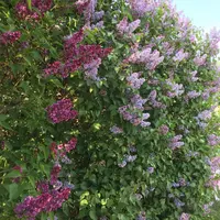 362FDDBD-2A77-4F87-BA15-404578ED890A.webp