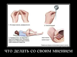 11116055.webp