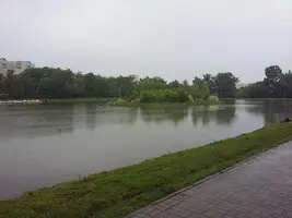 1526699909313-1212358753.webp