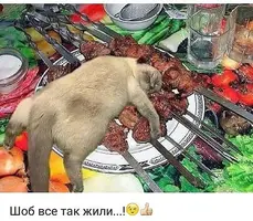 IMG-20180520-WA0012.webp