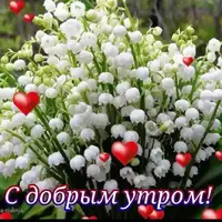 463ABFB6-36F9-49B6-8B92-E8232411D4D1.webp