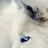 Evgeniy1512