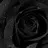 BlackRose