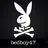 bedboy47