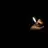 Bin Bin