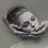 Egiv